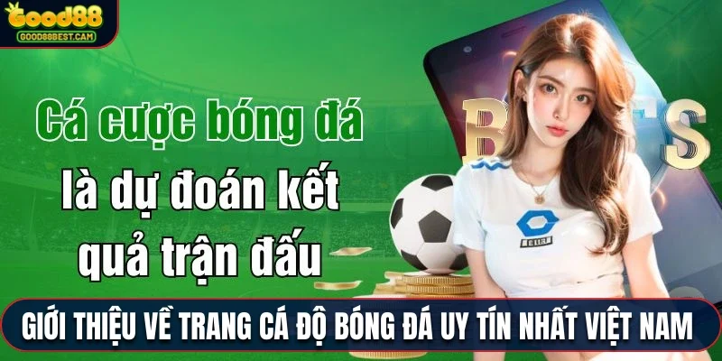 Trang Cá Độ Bóng Đá Uy Tín Nhất Việt Nam Rất Đáng Để Trải Nghiệm 2 Giới thiệu về trang cá độ bóng đá uy tín nhất Việt Nam cho người mới
