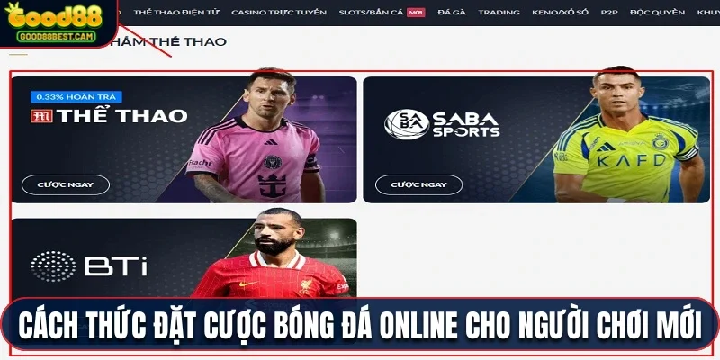 Trang Cá Độ Bóng Đá Uy Tín Nhất Việt Nam Rất Đáng Để Trải Nghiệm 3 Việc đặt cược bóng đá online cho người chơi mới cực đơn giản