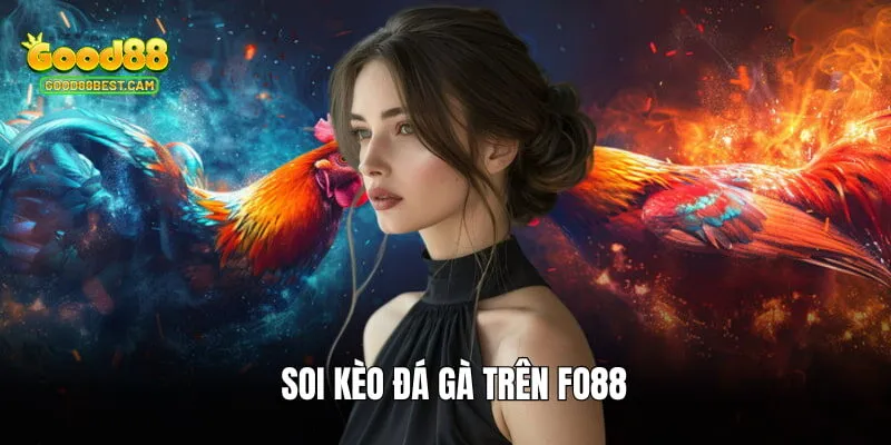 Fo88 - Thương Hiệu Chơi Game Uy Tín, Dễ Thắng To Hiện Nay 4 Soi kèo đá gà với hơn 100 trận chọi khắp Đông Nam Á mỗi ngày